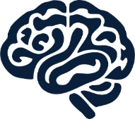 Navy blue outline of a brain on a white background
